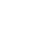 icona instagram