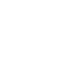 icona linkedin